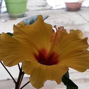 Meet your Posher, Martha